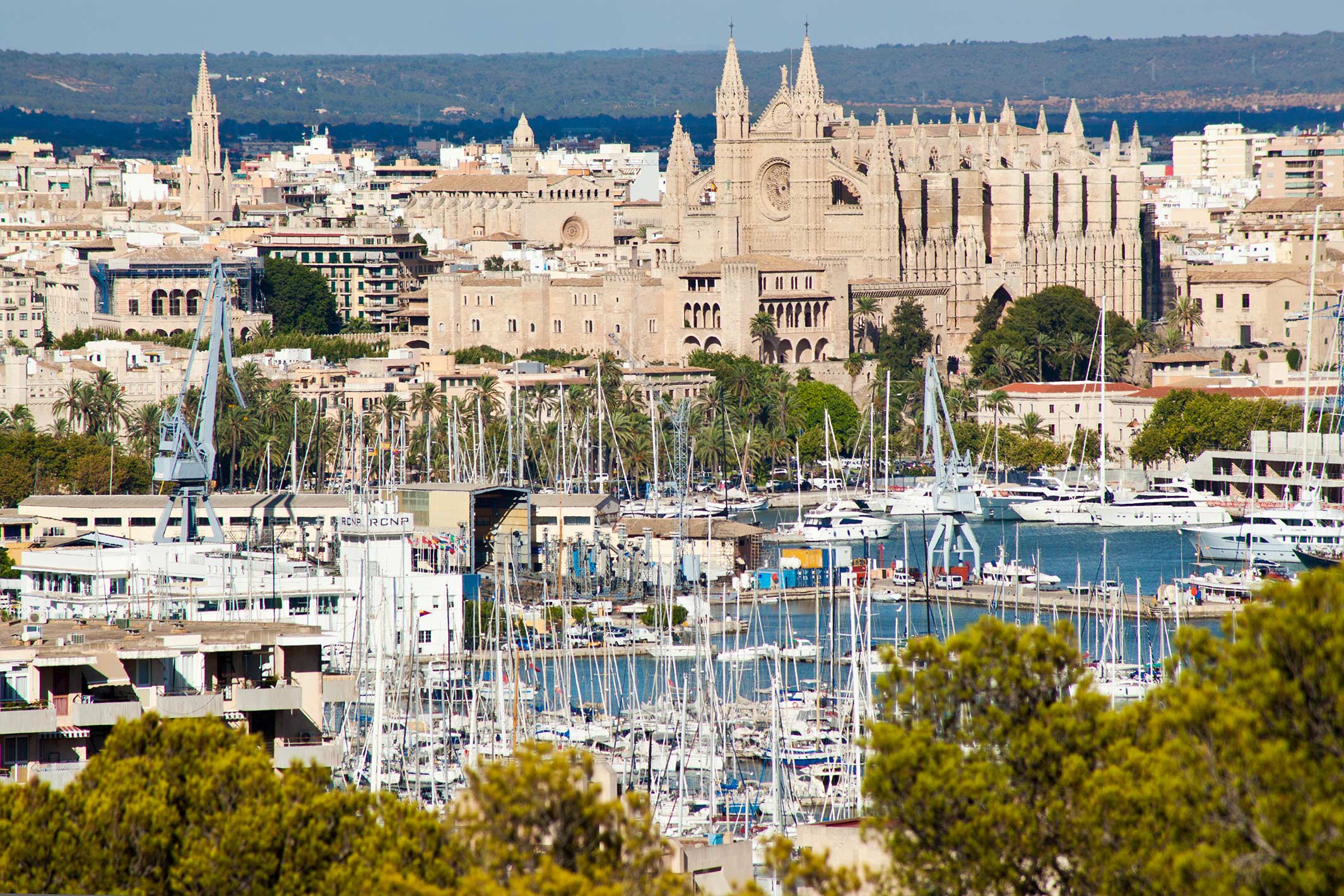 Charter base in Palma de Majorca, cathedral, charter base de Yates Europa