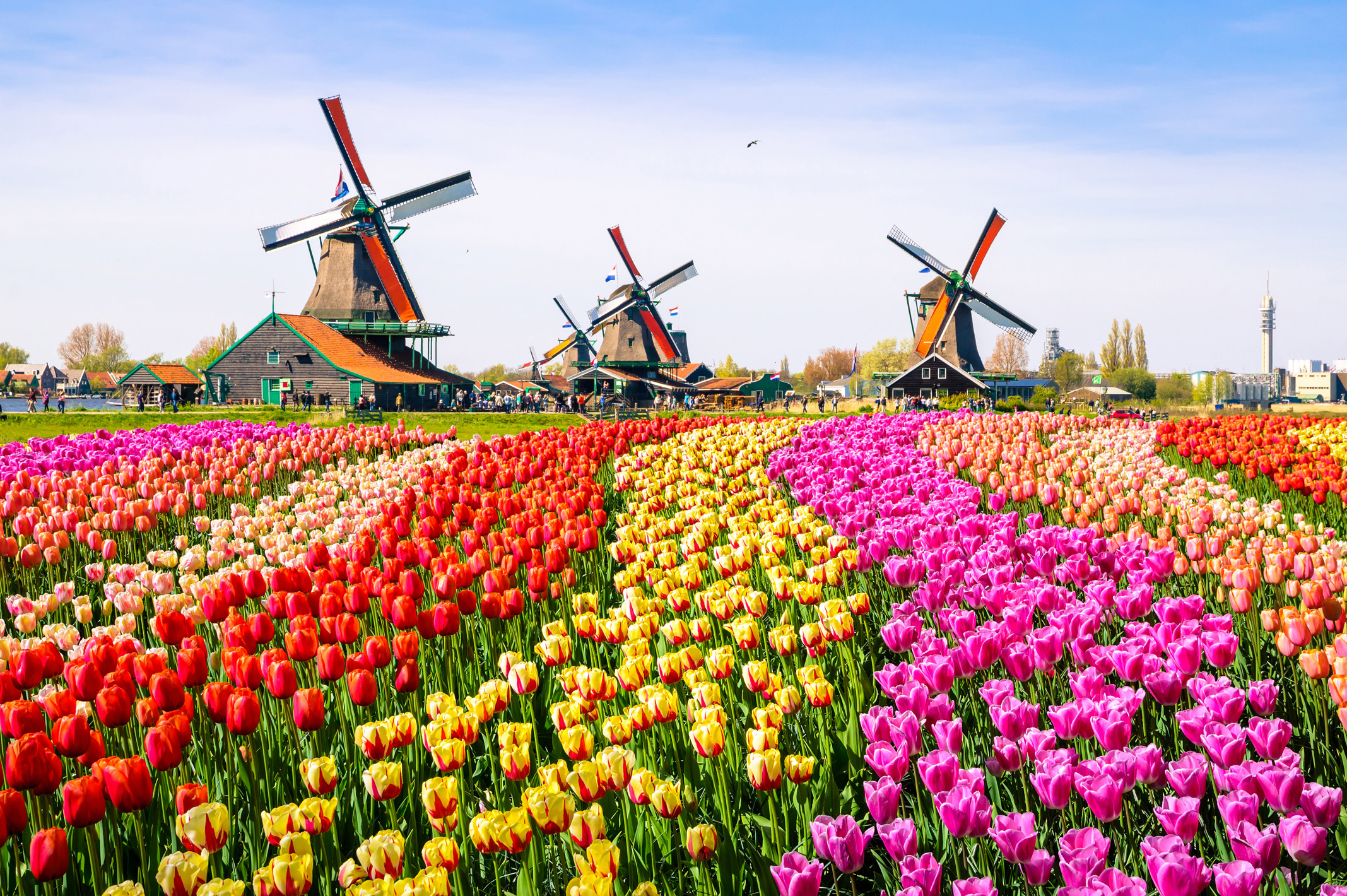 Holland is not only known for its tulips and windmills, it is also a very attractive sailing area